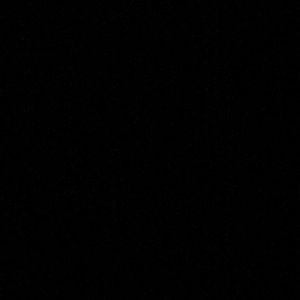 Meet your Posher, Sammy